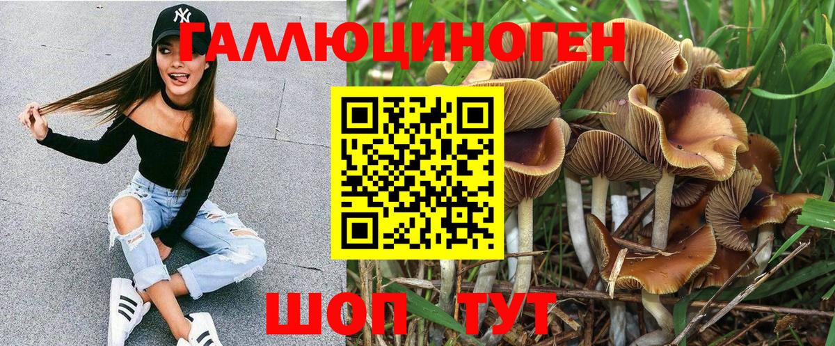 Кушва  Галлюциногенные грибы мицелий  Вход с VPN 